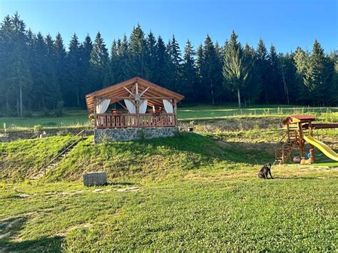 Guest house Poiana Brazilor Borsa (Maramures), Romania